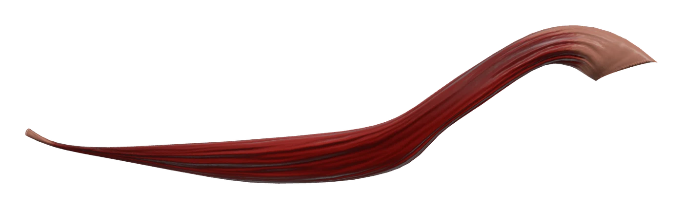 Brachioradialis muscle in 3D, rendered in Anatomy Atlas 3D