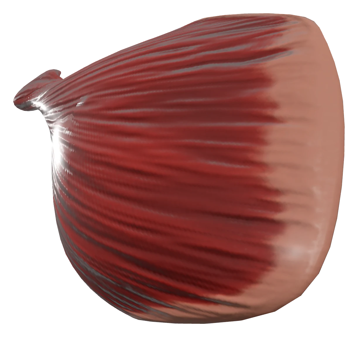 Pectoralis major muscle in 3D, rendered in Anatomy Atlas 3D